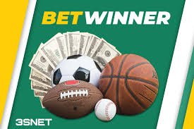 Comprehensive Guide to the BetWinner Platform